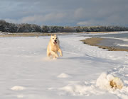 Reethus am Strand