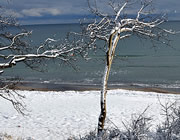 Reethus am Strand